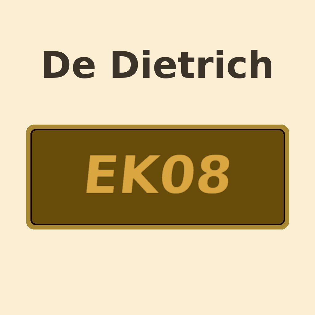 Display De Dietrich EK08