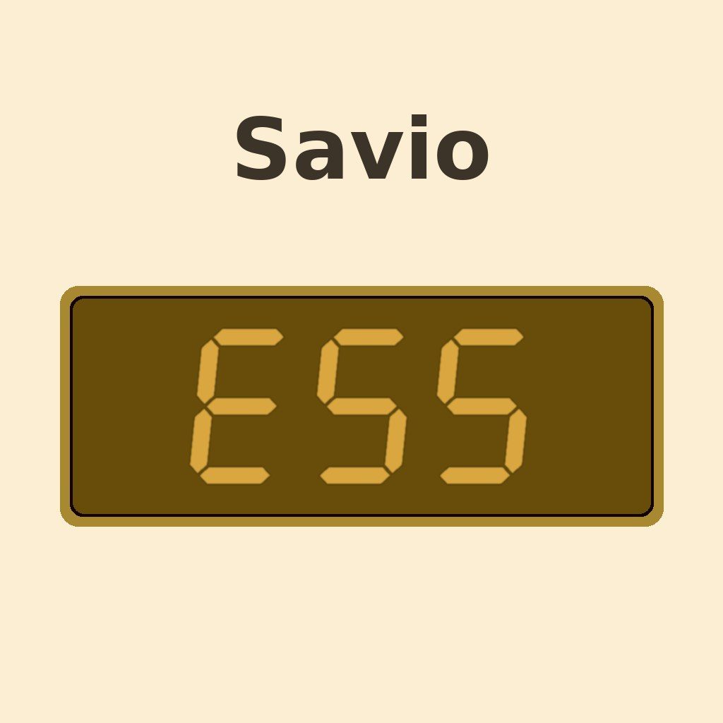 Display di una caldaia Savio con il codice errore E55: caldaia non configurata correttamente