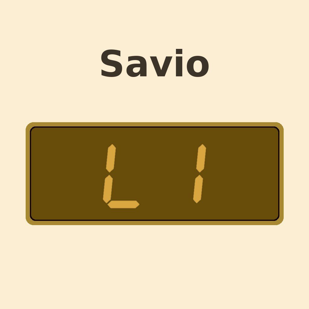 Display Savio Li