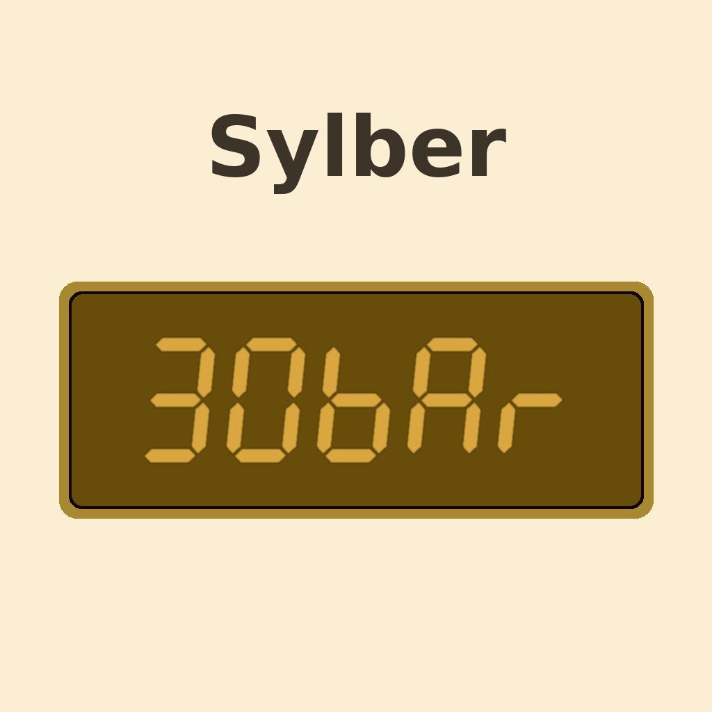 Display Sylber 30BAR (>3,0 bar)