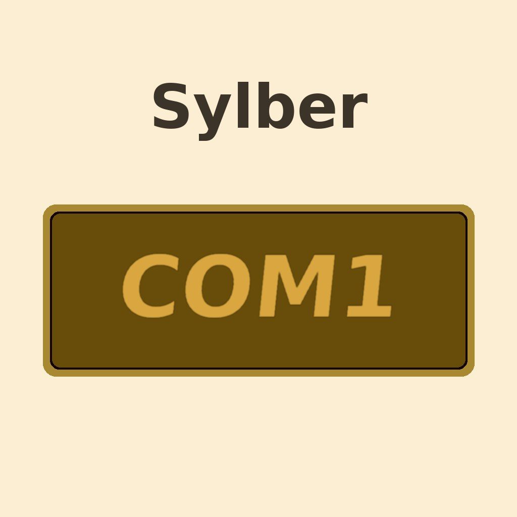 Display Sylber COM1
