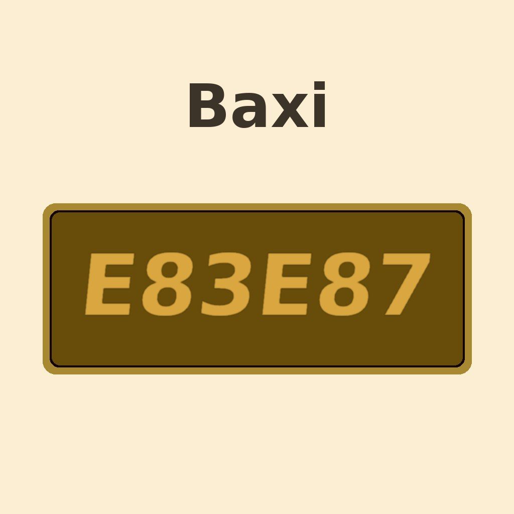 Display Baxi E83...87
