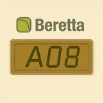 Errore A08 caldaia Beretta