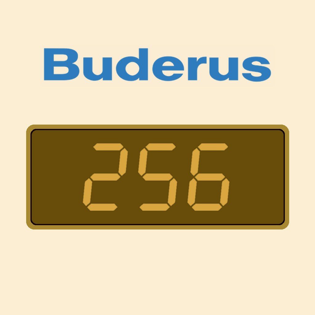 Display Buderus EC