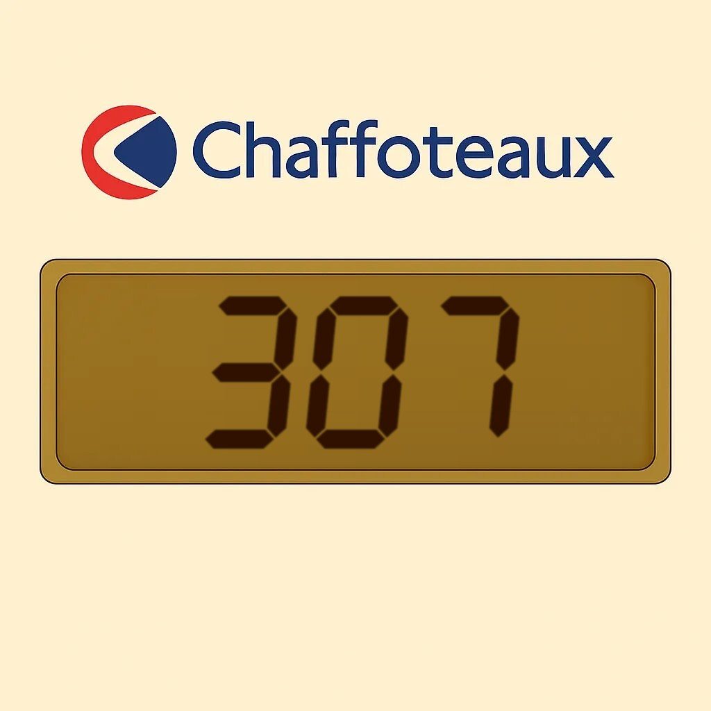 Display Chaffoteaux 307