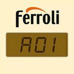 Errore A01 caldaia Ferroli