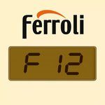 Errore F12 caldaia Ferroli