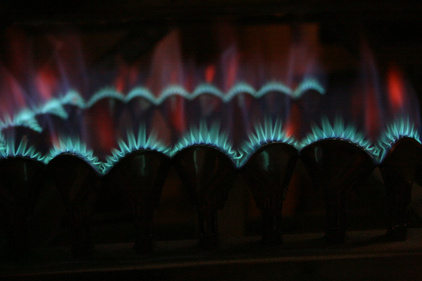Fiammelle blu di un bruciatore a gas, in controluce