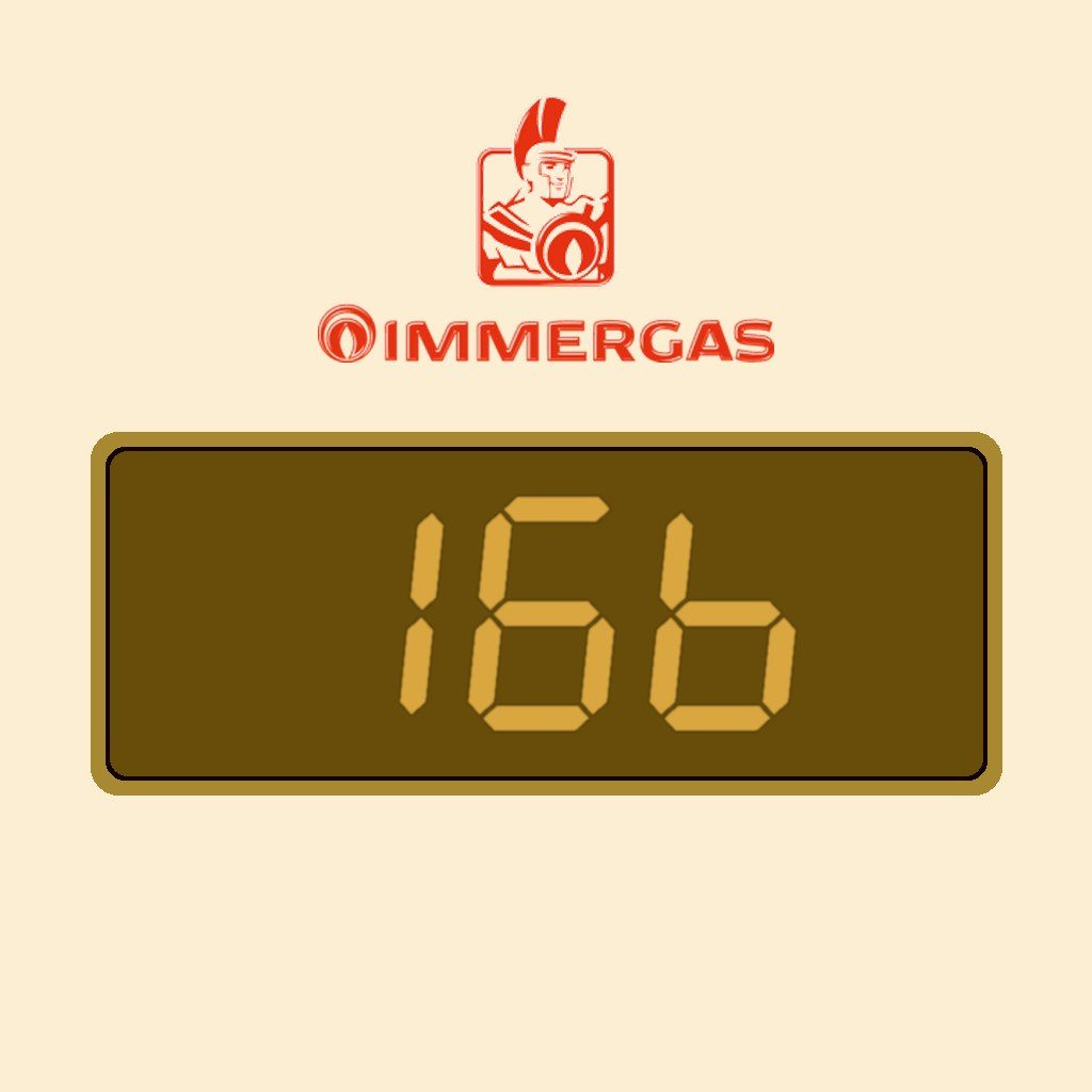 Display Immergas 16