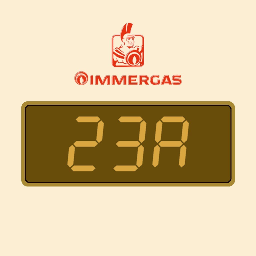 Display Immergas ERR23
