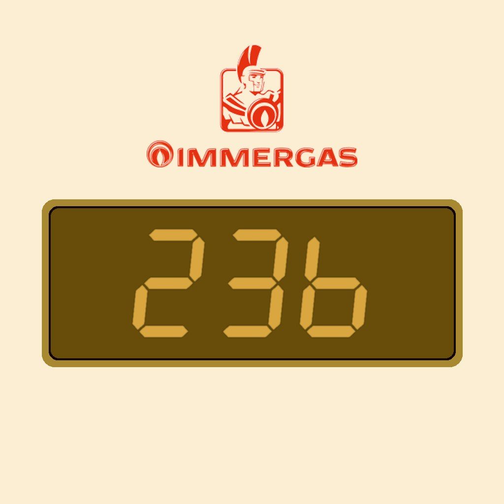 Display Immergas 23