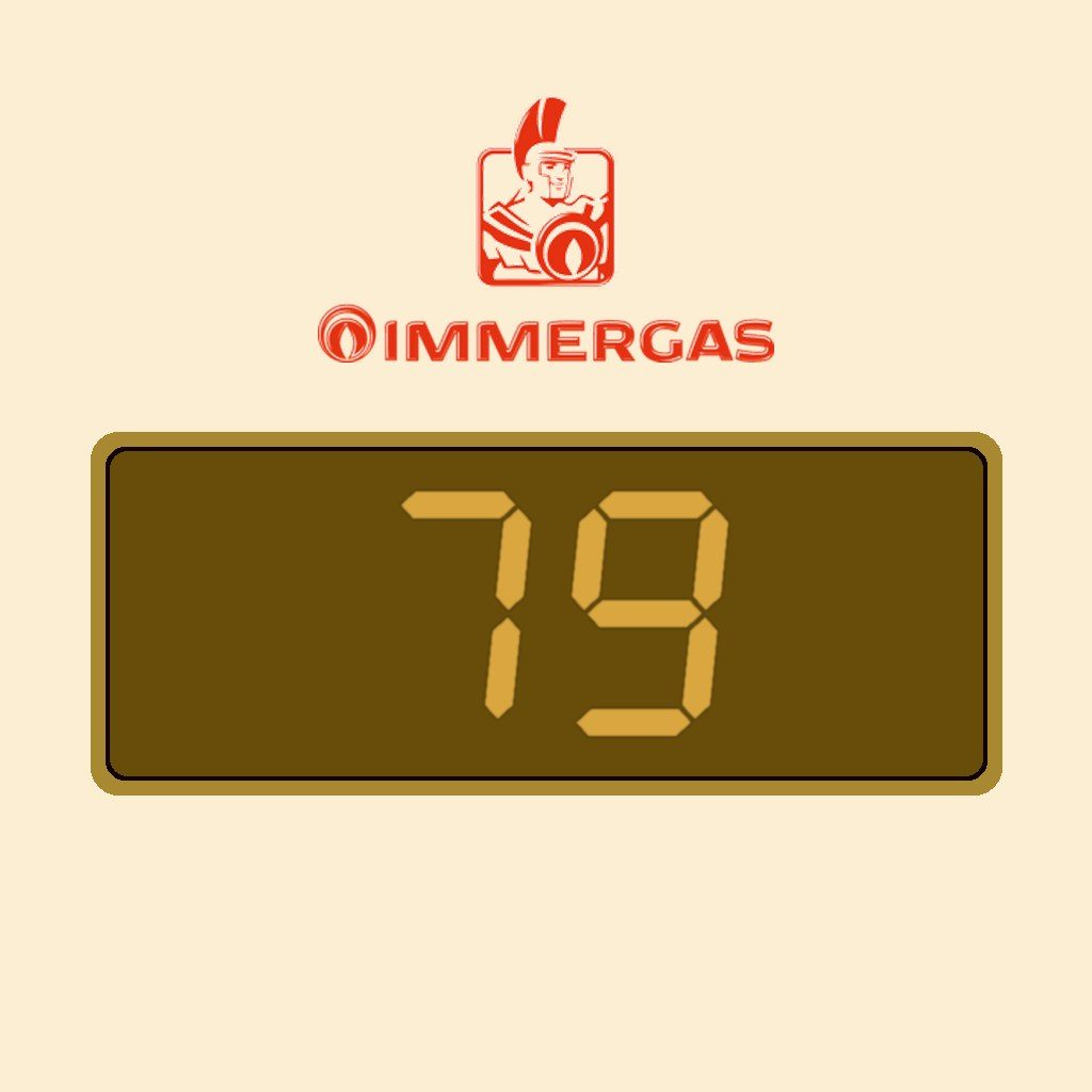 Display Immergas 79