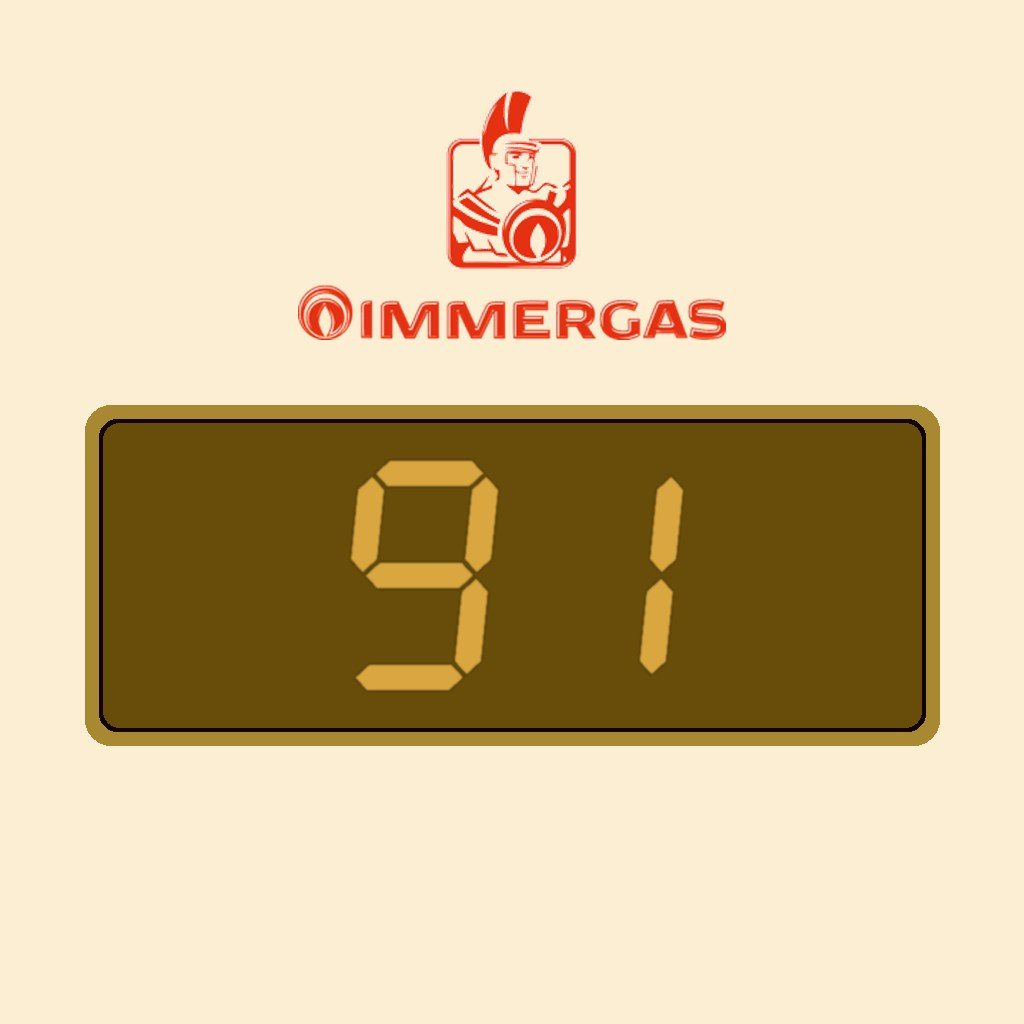 Display Immergas 91