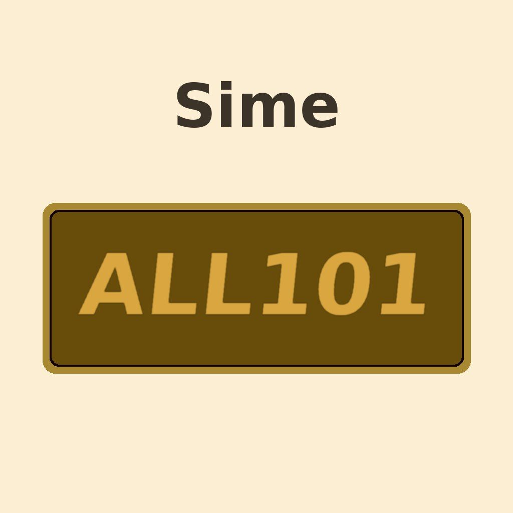 Display Sime ALL 101