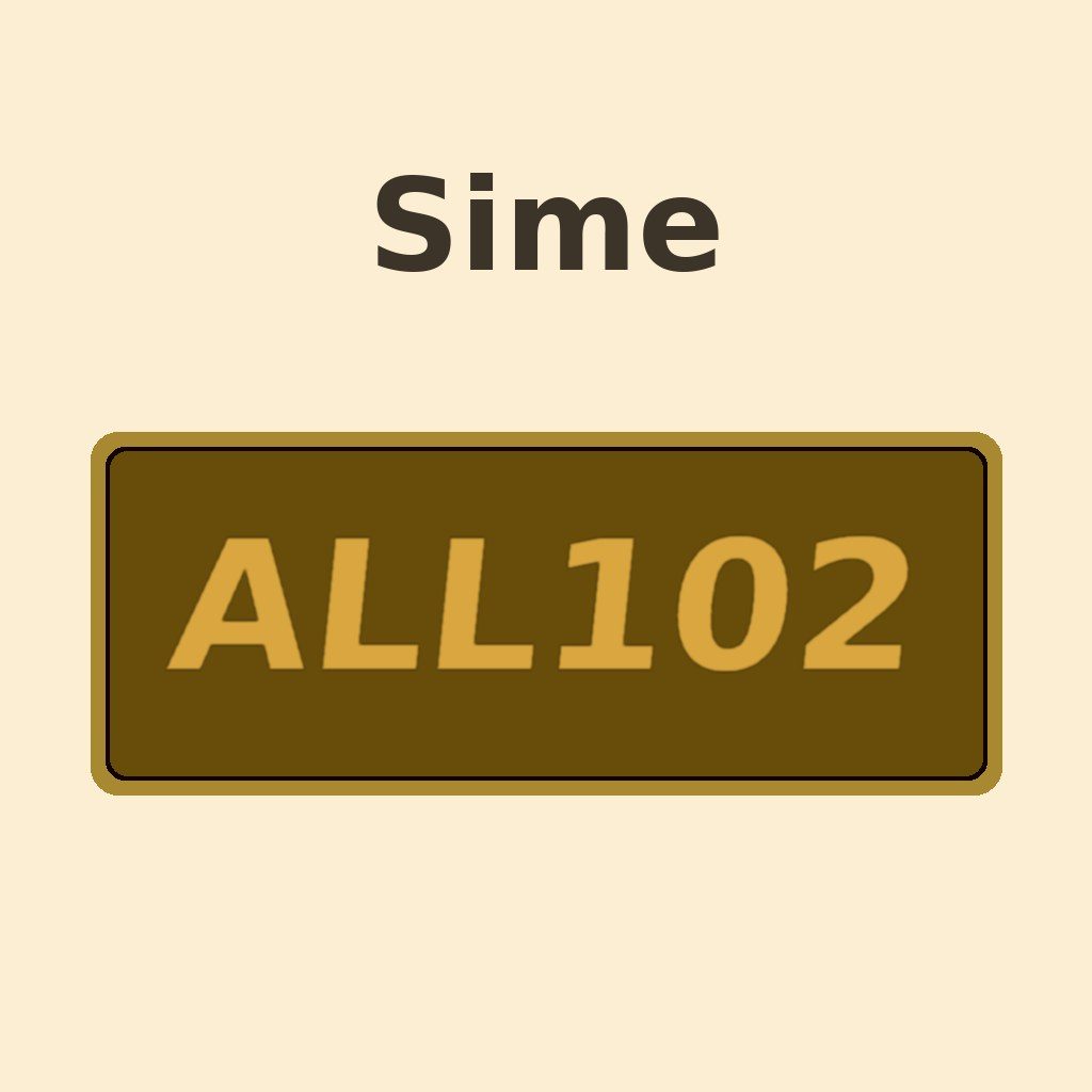 Display Sime ALL 102