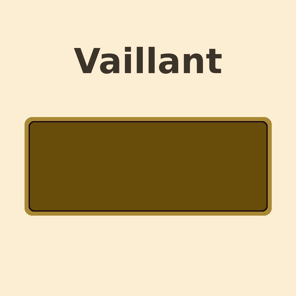 Display di una caldaia Vaillant con il codice errore ERR: comunicazione fra display e scheda