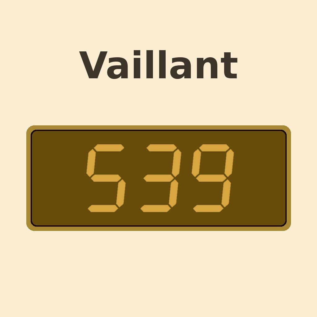 Display Vaillant S.39