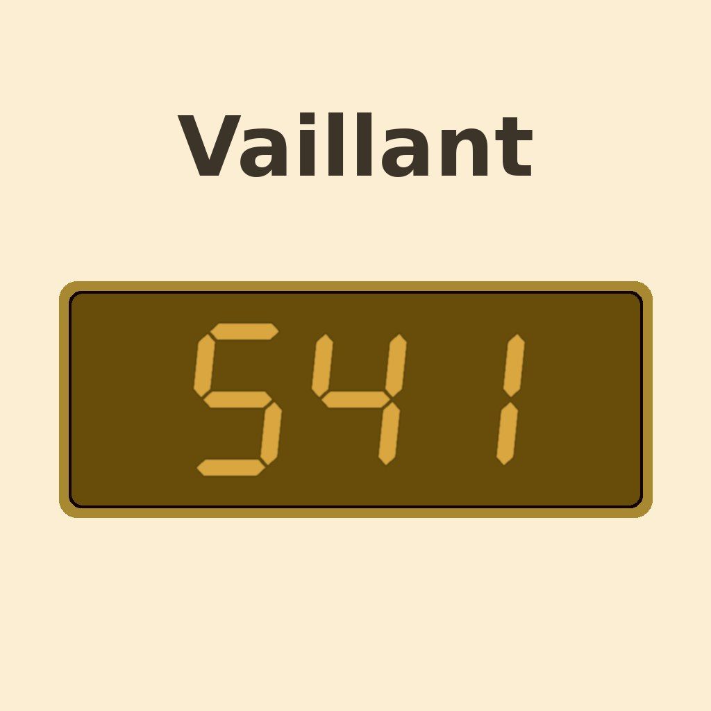 Display Vaillant S.41