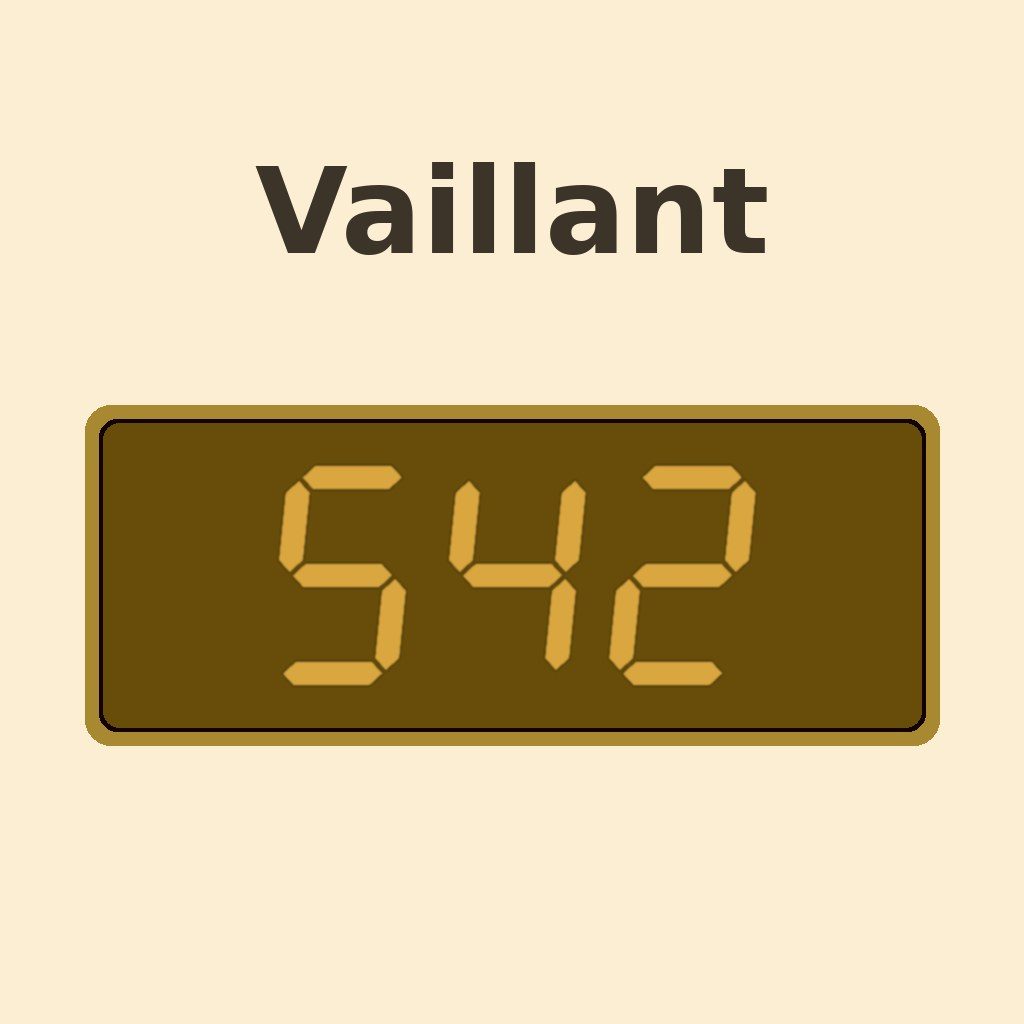 Display Vaillant S.42