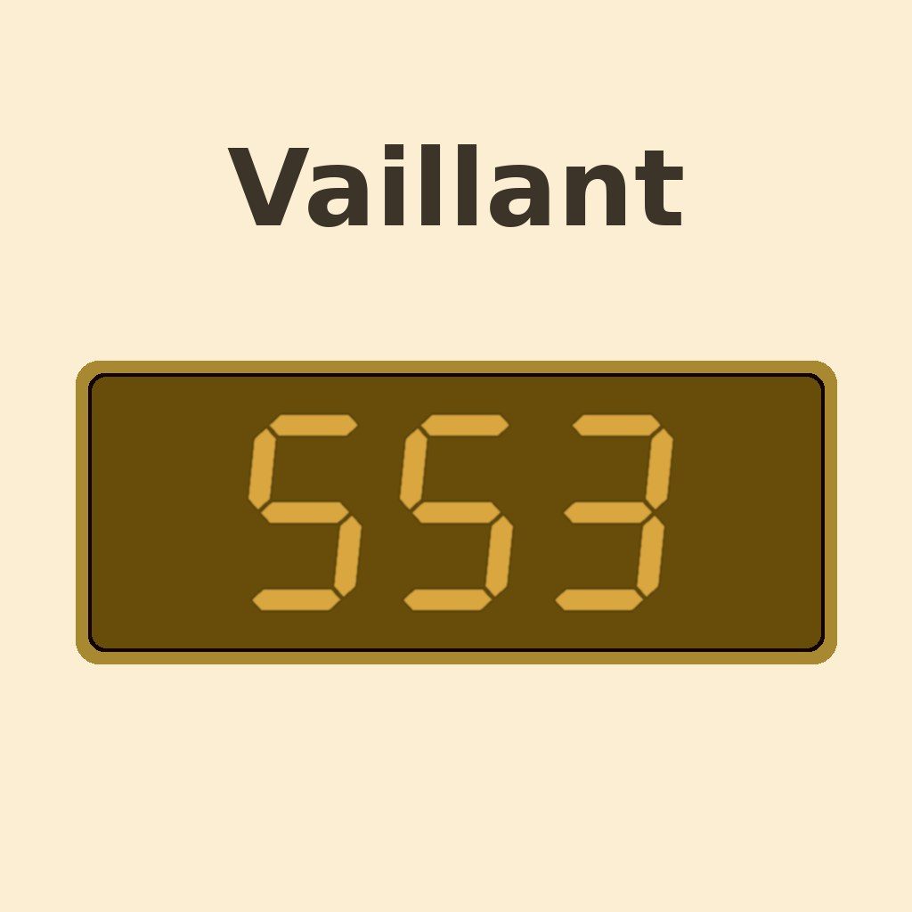 Display Vaillant S.53