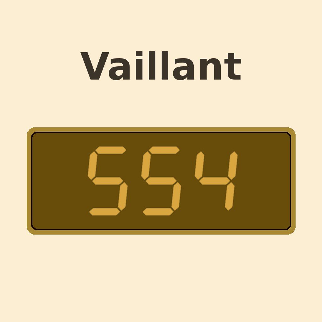 Display Vaillant S.54