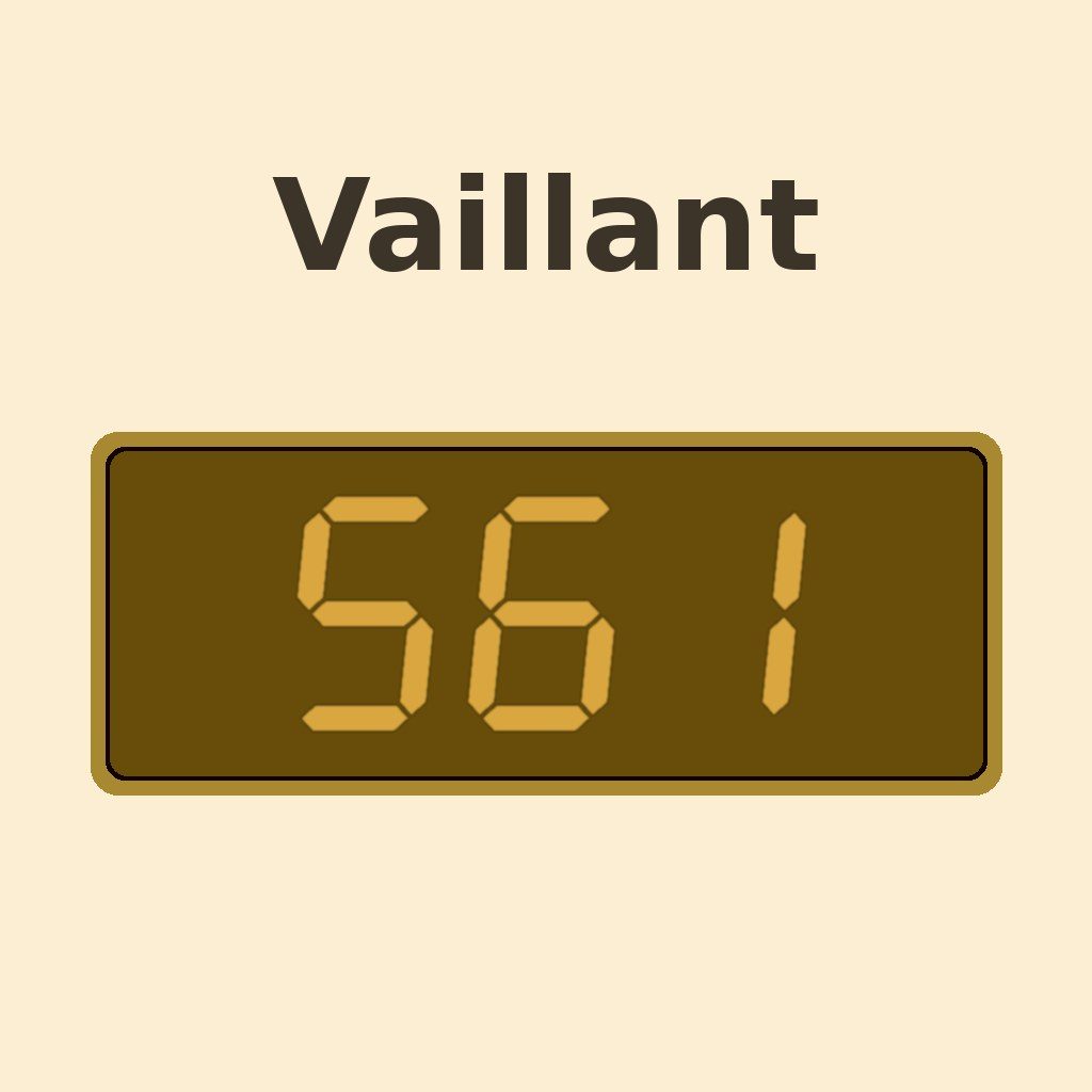 Display Vaillant S.61