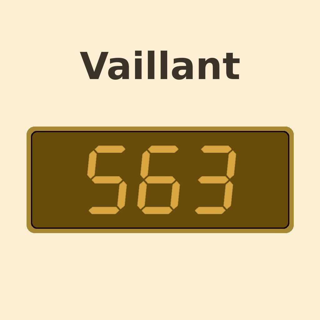 Display Vaillant S.63