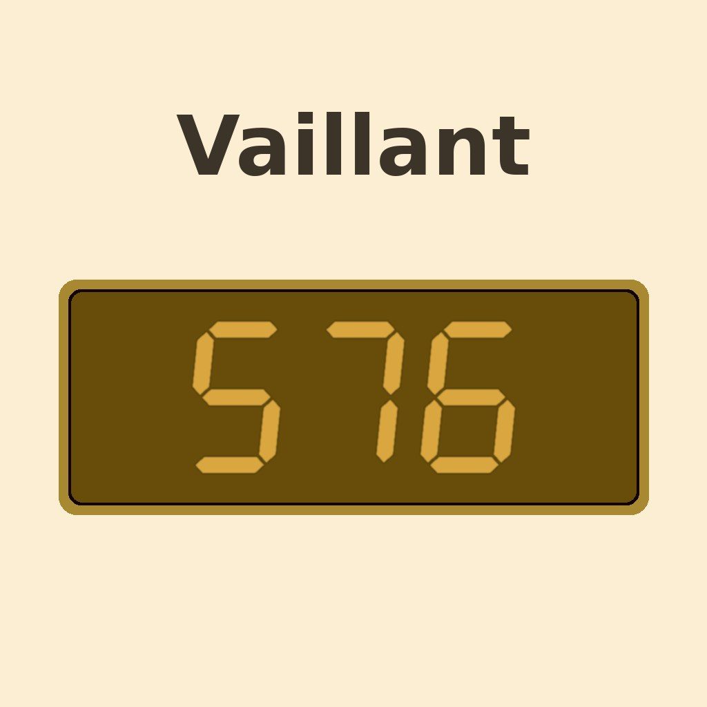 Display Vaillant S.76