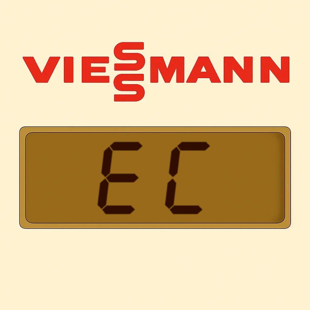 Display Viessmann EC