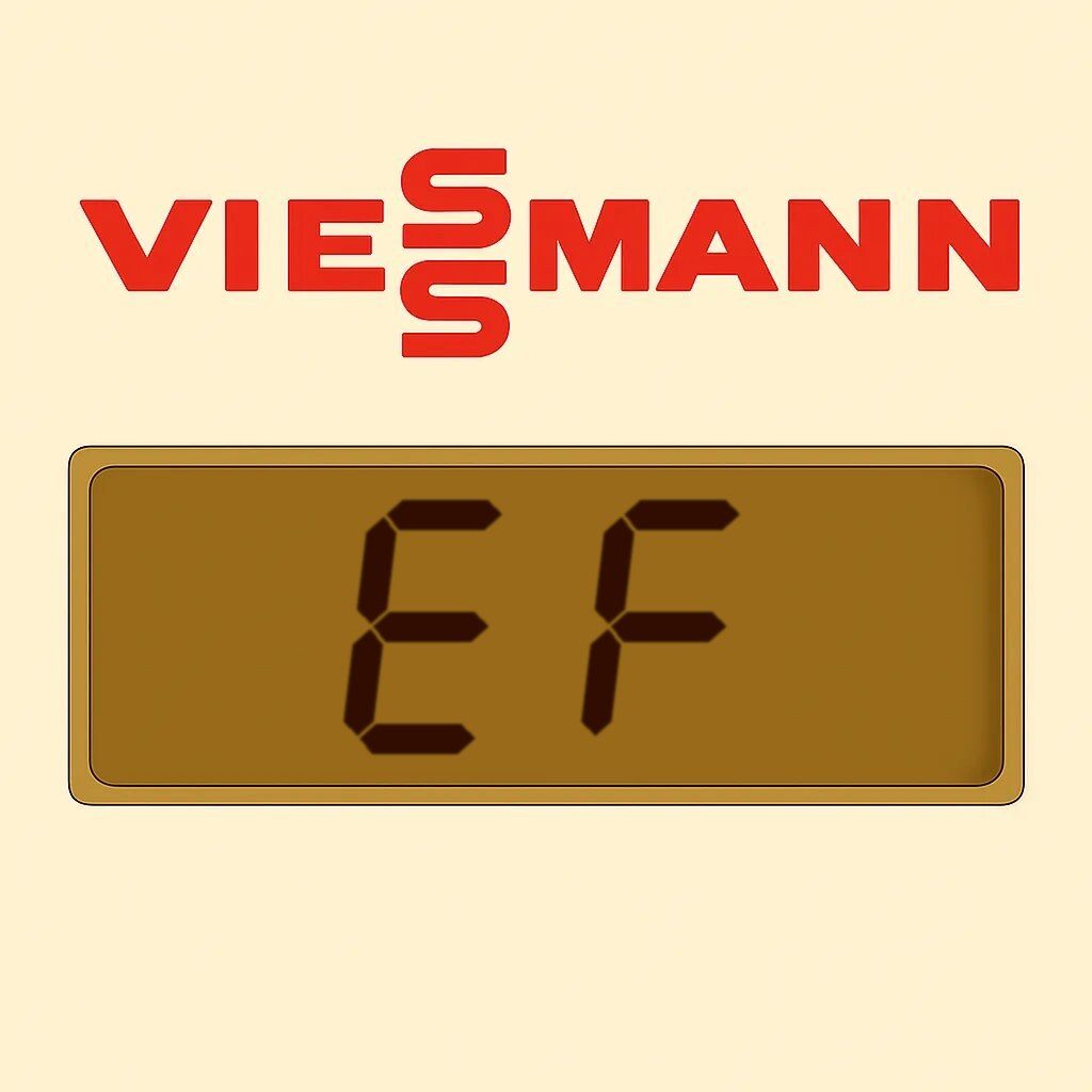 Display Viessmann EF